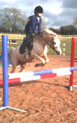 Angel Jumping